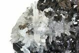 Pyrite, Sphalerite, Dolomite & Quartz Crystal Association - Peru #138162-2